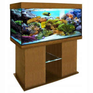 SZAFKA POD AKWARIUM 100x40x60 PROSTA KOLORY+MATA 100x40x60 półka szk k3