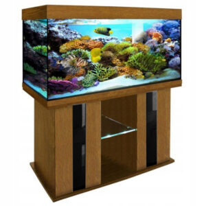 100x40x60 półka szk sz k3