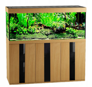 100x40x60 sz k2