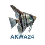 AKWA24