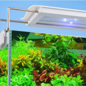 Lampa belka LED do akwarium - nowoczesne i energooszczędne oświetlenie zbiornika