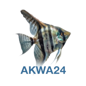 logo 3a