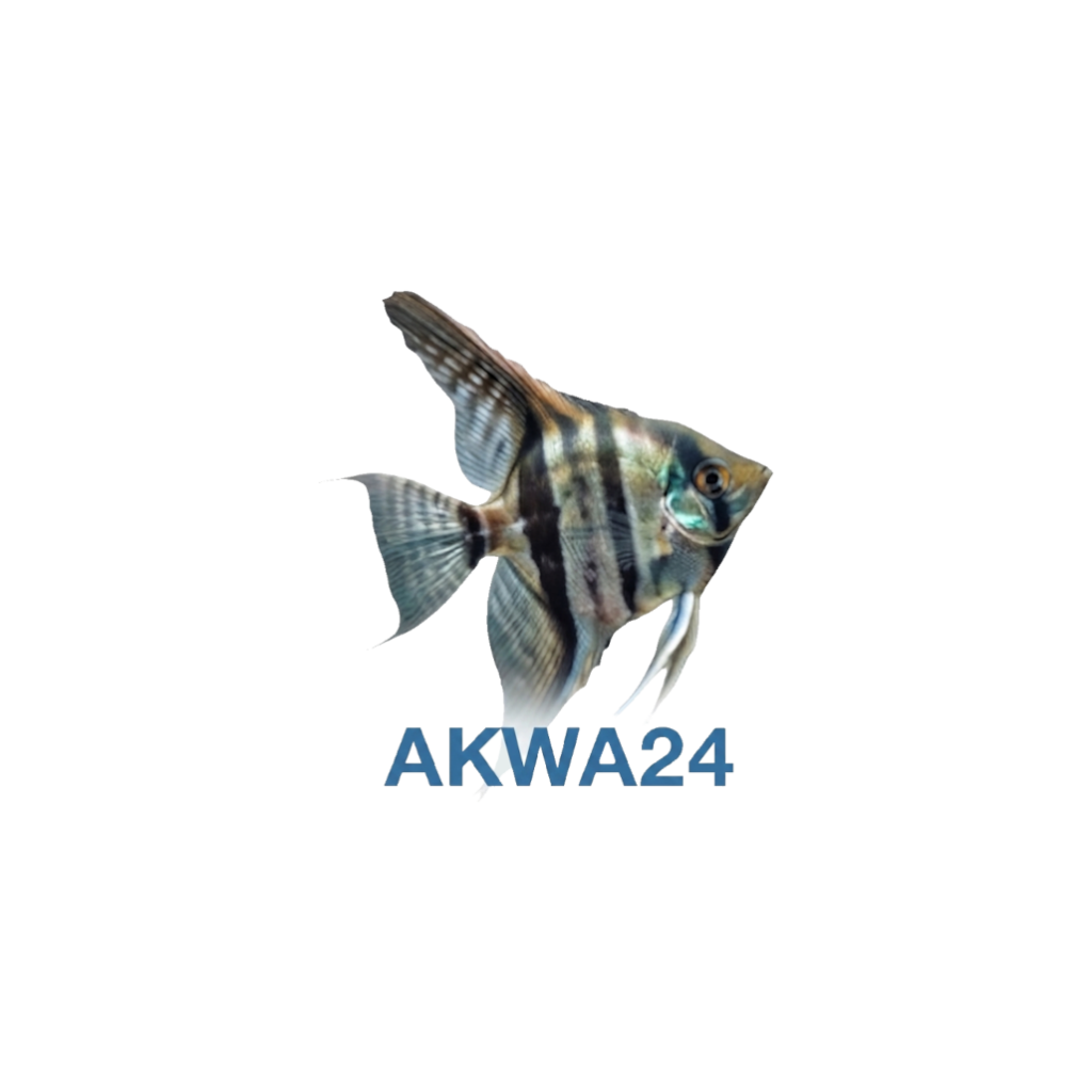 skalar akwarium AKWA24